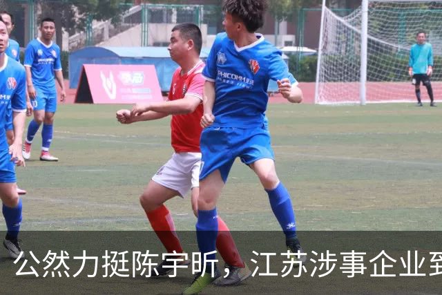 公然力挺陈宇昕，江苏涉事企业到底图个啥